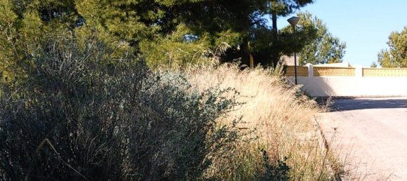  Land in Calpe, Spain No. 96473 3