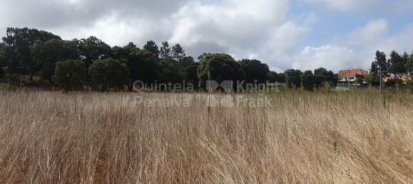 2220m² Land in Caldas da Rainha, Portugal No. 321458 4