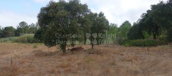 2220m² Land in Caldas da Rainha, Portugal No. 321458 3
