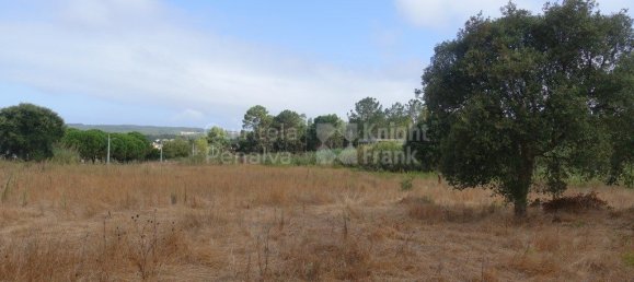 2220m² Land in Caldas da Rainha, Portugal No. 321458 2