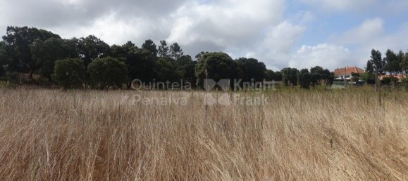 2220m² Land in Caldas da Rainha, Portugal No. 321458 5