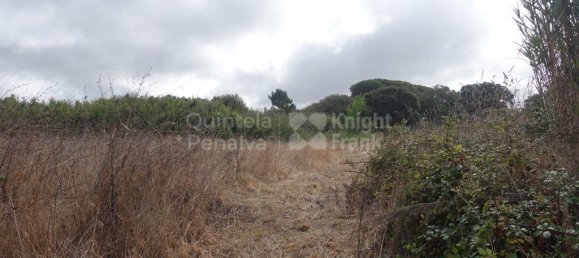 2220m² Land in Caldas da Rainha, Portugal No. 321458 6