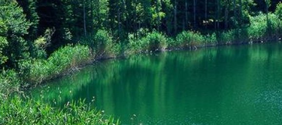 5000m² Land in Percile, Italy No. 253692 4