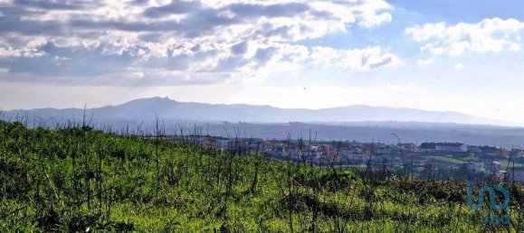 10000m² Land in Mafra, Portugal No. 126786 25