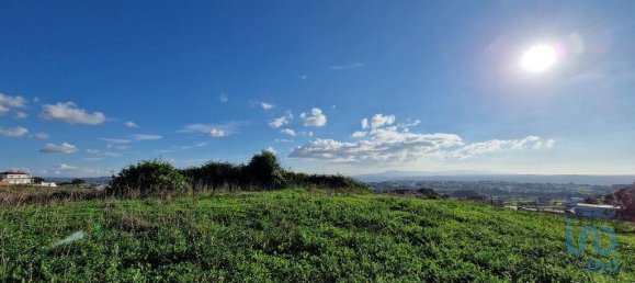 10000m² Land in Mafra, Portugal No. 126786 19