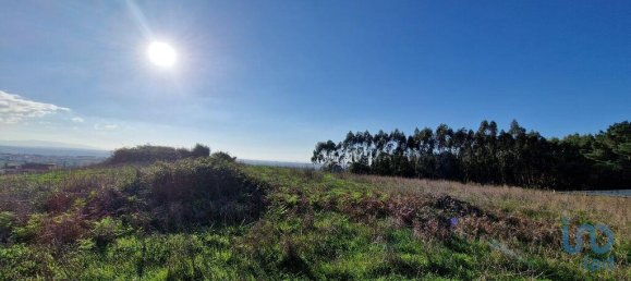 10000m² Land in Mafra, Portugal No. 126786 11