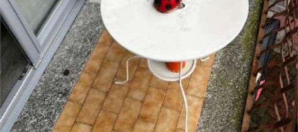 6 bedrooms Apartment in Bisuschio, Italy No. 363519 22