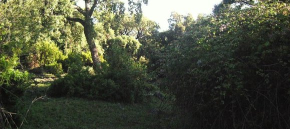  Land in Gaucin, Spain No. 83293 12