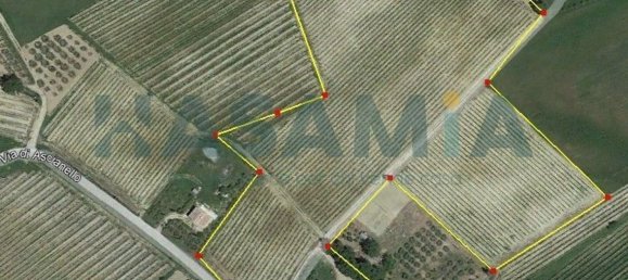 10 bedrooms House in Montepulciano, Italy No. 365078 5