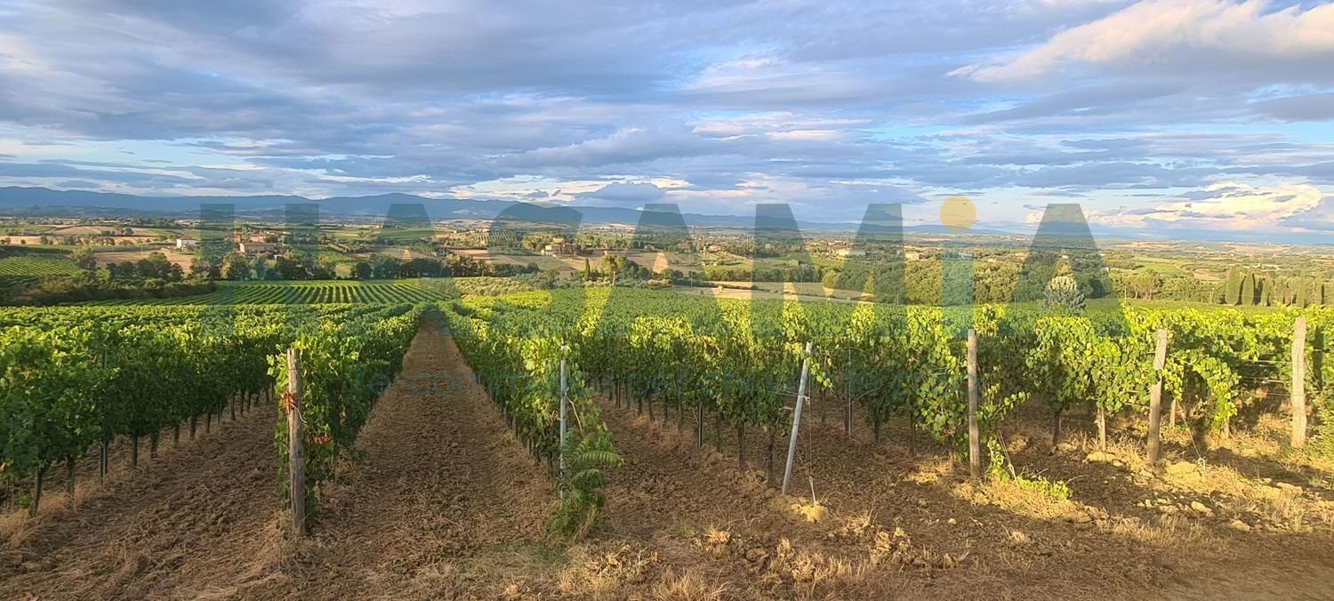 10 bedrooms House in Montepulciano, Italy No. 365078