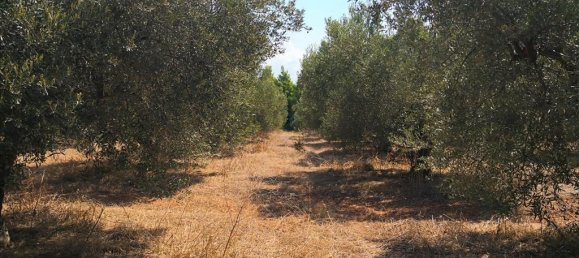 15120m² Hotel in Polygyros, Greece No. 5483 4