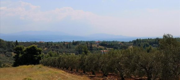 15120m² Hotel in Polygyros, Greece No. 5483 11