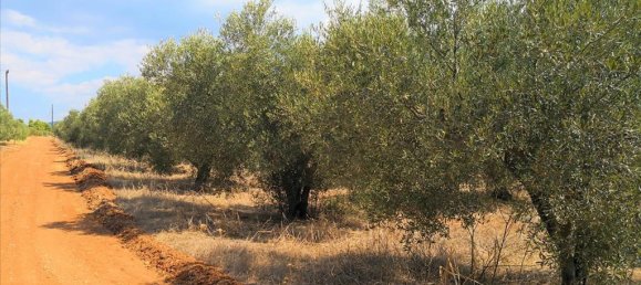 15120m² Hotel in Polygyros, Greece No. 5483 3