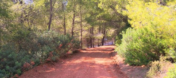 15120m² Hotel in Polygyros, Greece No. 5483 13