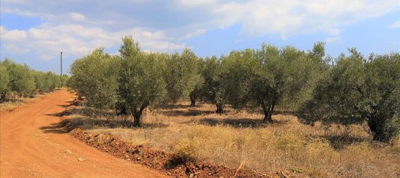 15120m² Hotel in Polygyros, Greece No. 5483 2