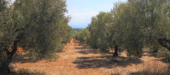 15120m² Hotel in Polygyros, Greece No. 5483 6