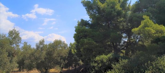 15120m² Hotel in Polygyros, Greece No. 5483 12