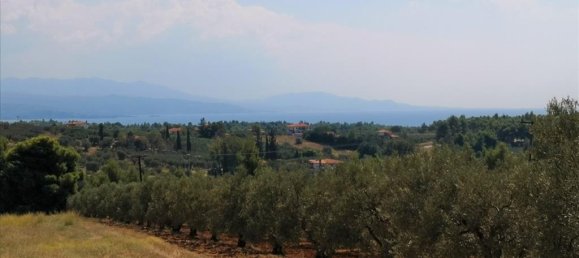 15120m² Hotel in Polygyros, Greece No. 5483 9