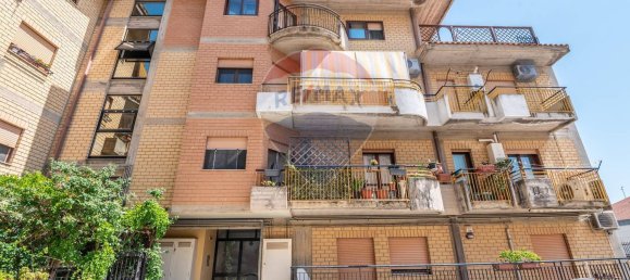 4 bedrooms Apartment in Caltagirone, Italy No. 311987 47