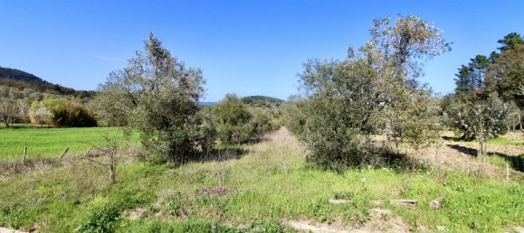 Apartamento de 3 dormitorios en Suvereto, Italy No. 158745 25