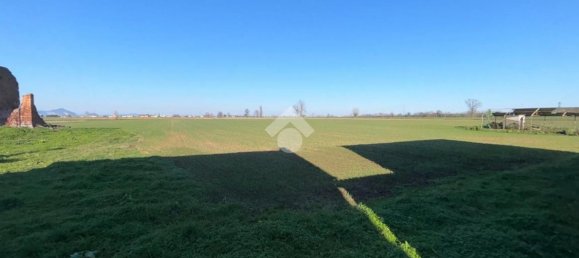 6 rooms House in Stanghella, Italy No. 148127 15