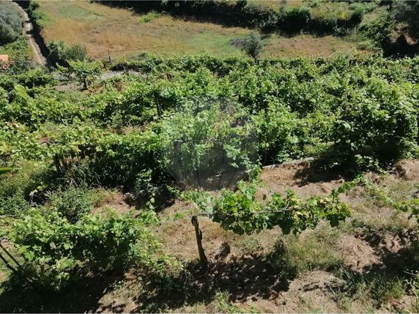 2800m² Land in Ponte da Barca, Portugal No. 58525