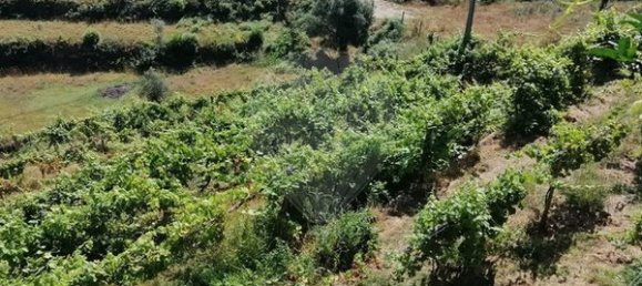 2800m² Land in Ponte da Barca, Portugal No. 58525 2