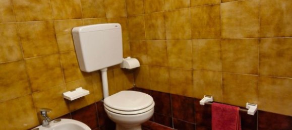 Gewerbliche Immobilie in Albinea, Italy 42m², Nr. 341147 17