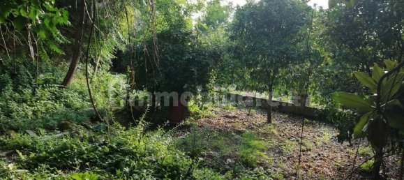 8 bedrooms House in Caiazzo, Italy No. 293844 25