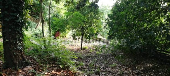 8 bedrooms House in Caiazzo, Italy No. 293844 24