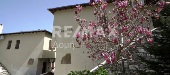 13 chambres hôtel à vendre à Magnesia, Thessaly, Thessaly and Central Greece, Greece № 768 7