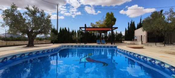 5 bedrooms House in Yecla, Spain No. 143345 12