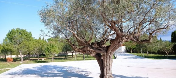 5 bedrooms House in Yecla, Spain No. 143345 5