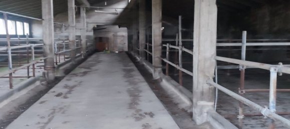 4 bedrooms House in Lozzo Atestino, Italy No. 150907 8