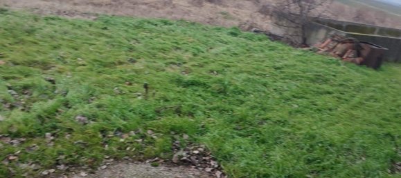 4 bedrooms House in Lozzo Atestino, Italy No. 150907 9