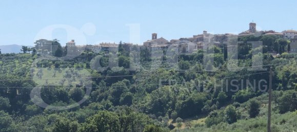 4 rooms House in Montefalco, Italy No. 42062 15