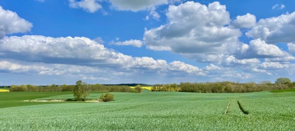 3 Schlafzimmer Haus in Uckermark, Germany, Nr. 288186 32