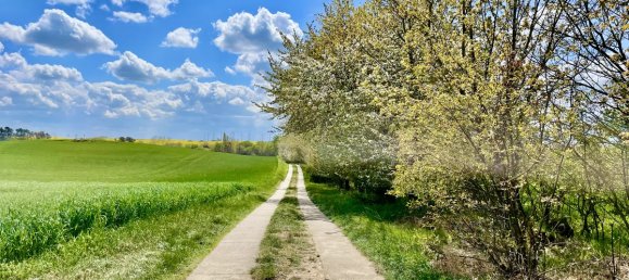3 Schlafzimmer Haus in Uckermark, Germany, Nr. 288186 33