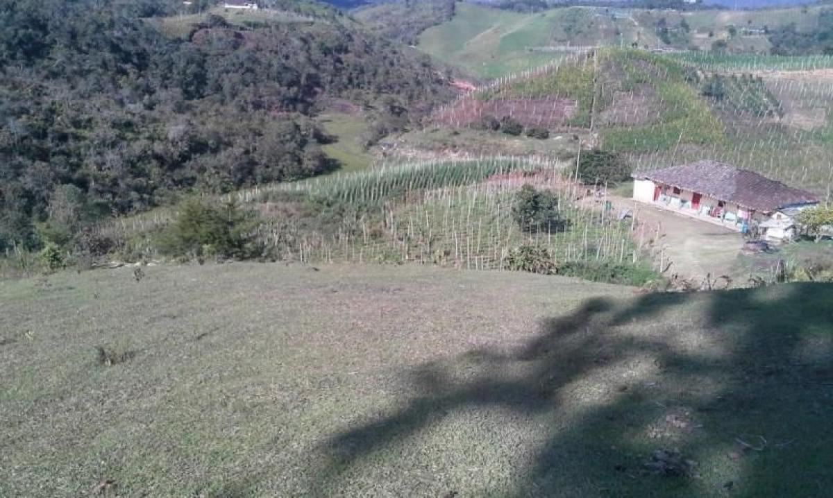 3 bedrooms House in Antioquia, Colombia No. 9062