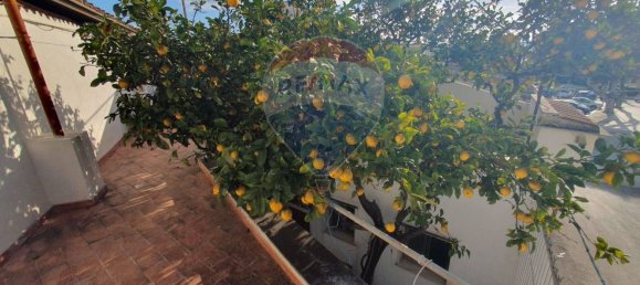 4 rooms House in Vittoria, Italy No. 276785 14