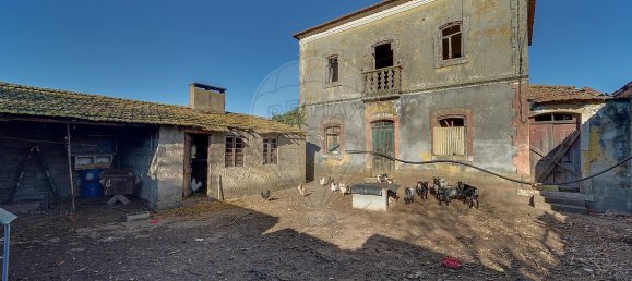 3 chambres Maison à Oliveira do Bairro, Portugal No. 170405 6