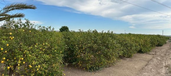 100m² House in San Miguel de Salinas, Spain No. 13058 9