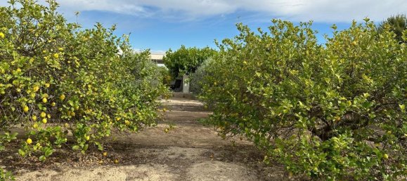 100m² House in San Miguel de Salinas, Spain No. 13058 8