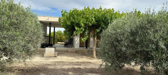 100m² House in San Miguel de Salinas, Spain No. 13058 5