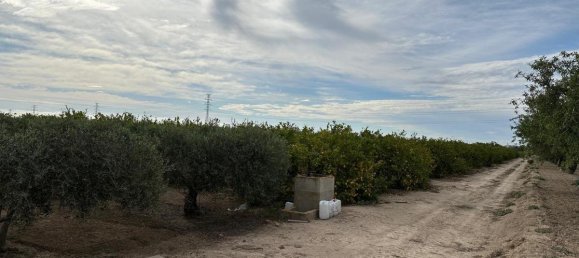 100m² House in San Miguel de Salinas, Spain No. 13058 11