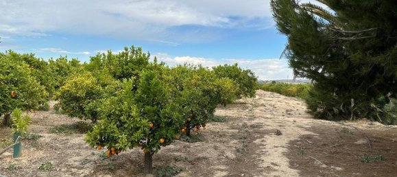 100m² House in San Miguel de Salinas, Spain No. 13058 10