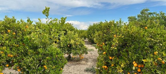 100m² House in San Miguel de Salinas, Spain No. 13058 6