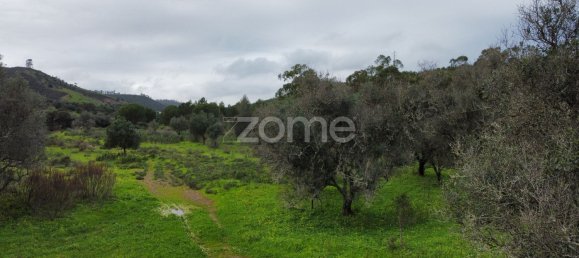 177500m² Land in Mexilhoeira Grande, Portugal No. 153641 16
