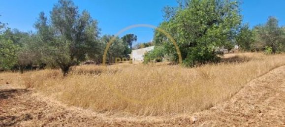 2 غرف نوم فيلا في Loule, Portugal رقم 264231 2