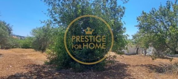 2 غرف نوم فيلا في Loule, Portugal رقم 264231 6